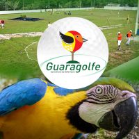 Guaragolfe